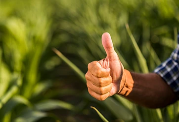 Sem juros e sem entrada