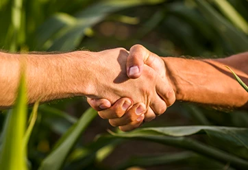 Contemplação da sua máquina